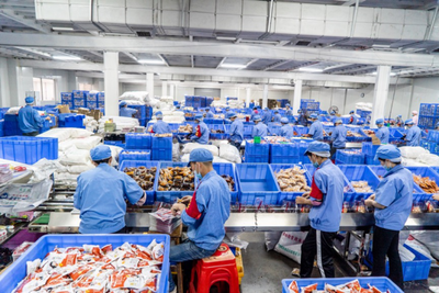 2000萬袋螺螄粉備戰(zhàn)天貓雙11 銷售額暴增四倍與家用電器零配件銷售熱潮共舞